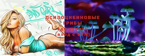 МДМА Алексеевка