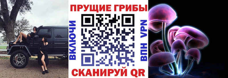 Псилоцибиновые грибы Cubensis  Белоозёрский 